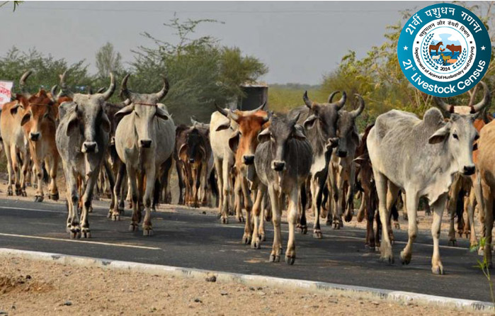 Animal census started at a cost of 200 crores, animals will be disease free